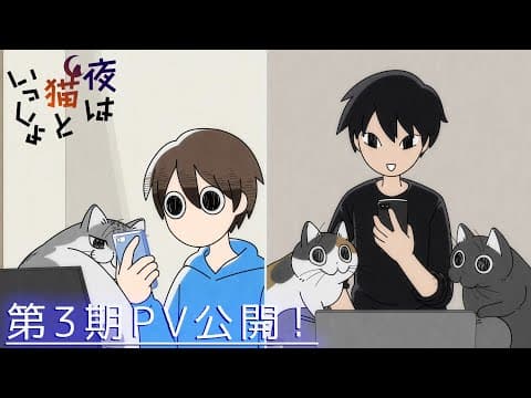 Nights with a Cat Season 3 trailer