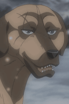 Buruge