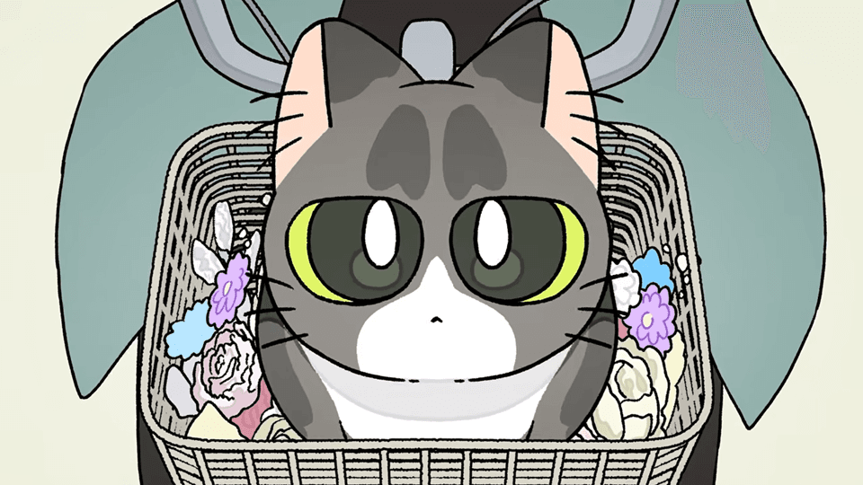 Suis from Yorushika Unveils Opening Song for The Cat and the Dragon