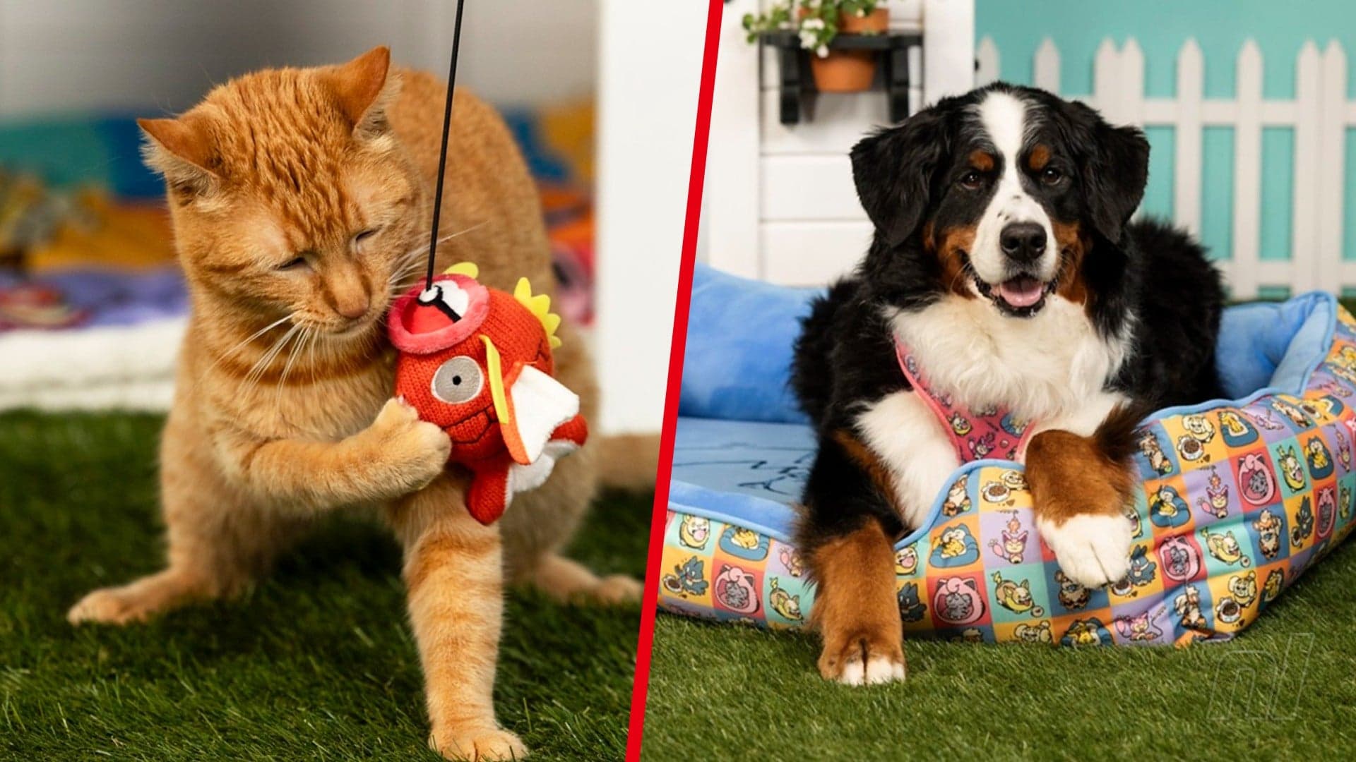 Pokémon Launches New Merch Line for Pets