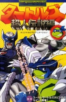 Mutant Ninja Turtles: Superman Legend