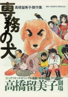 The Executive's Dog